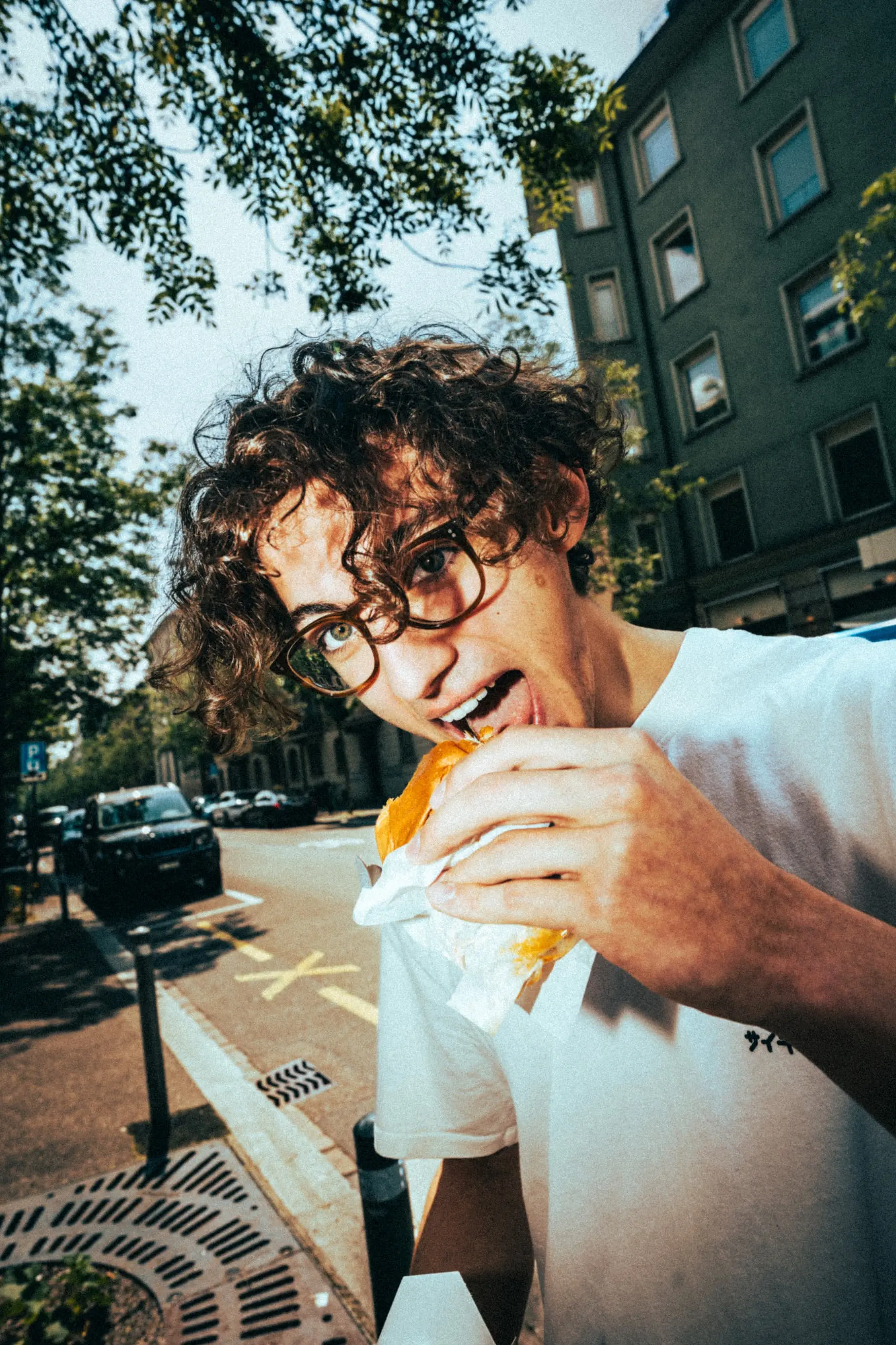 Birds In the Kitchen